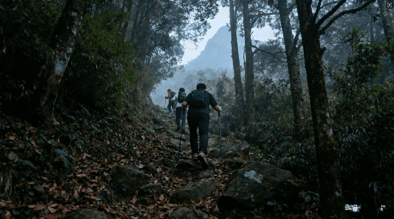 极光加速器为企业提供的专属网络加速解决方案
